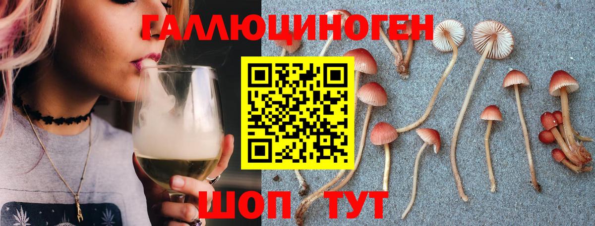 Галлюциногенные грибы MAGIC MUSHROOMS Ессентуки