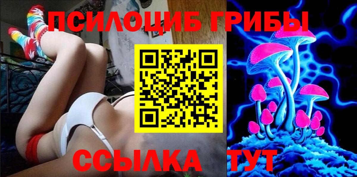 где можно купить   Галлюциногенные грибы GOLDEN TEACHER  Вход с VPN  Ессентуки  Галлюциногенные грибы ЛСД 