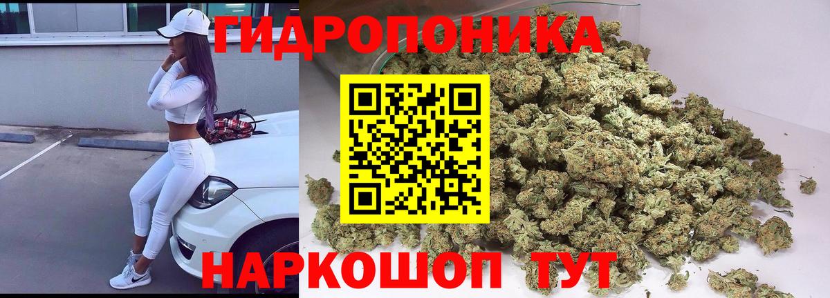 Ессентуки  Каннабис план  Конопля индика  Шишки марихуана конопля  Вход с VPN 